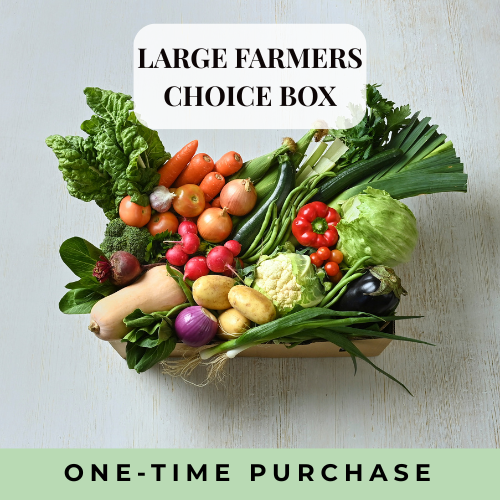 FARMERS CHOICE VEGGIE BOX LARGE