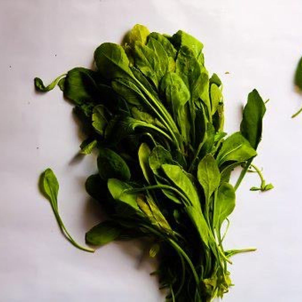 English Spinach Bunched - Glavocich Produce