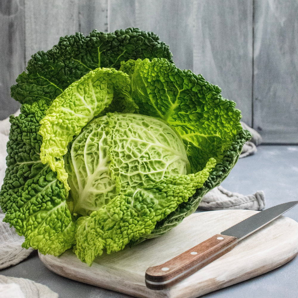 Savoy Cabbage Whole - Glavocich Produce