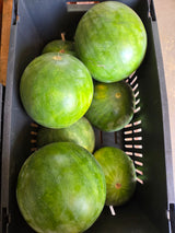 Whole Seedless Watermelon