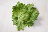 Iceberg Lettuce