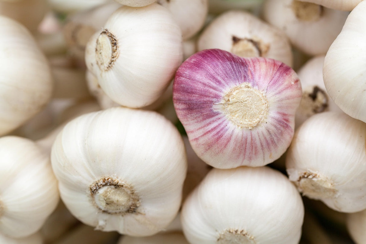 Garlic (1kg)