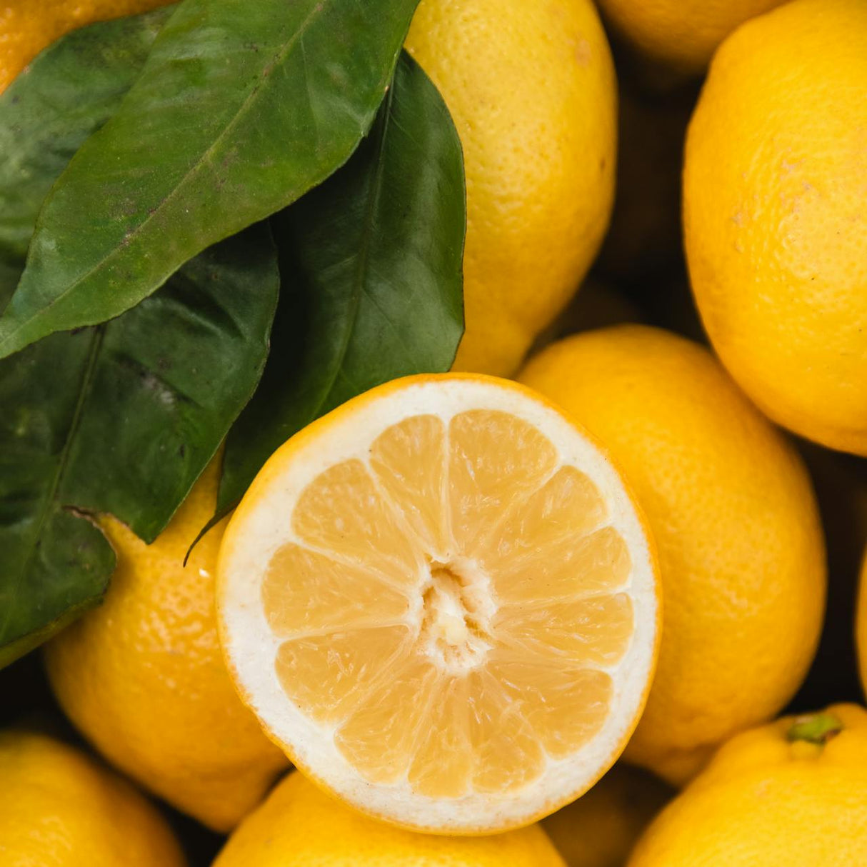 Lemons 500g