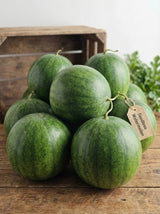 Whole Seedless Watermelon