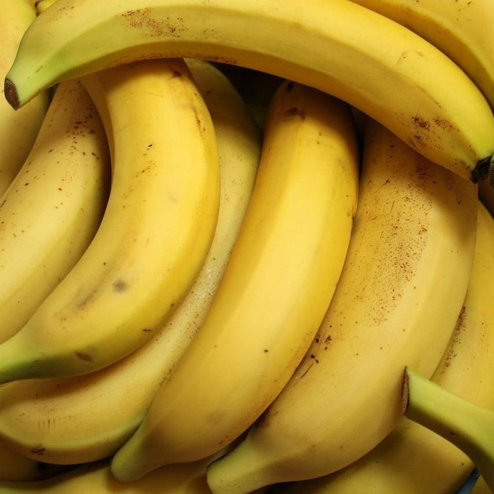 Bananas By the Kg - Glavocich Produce