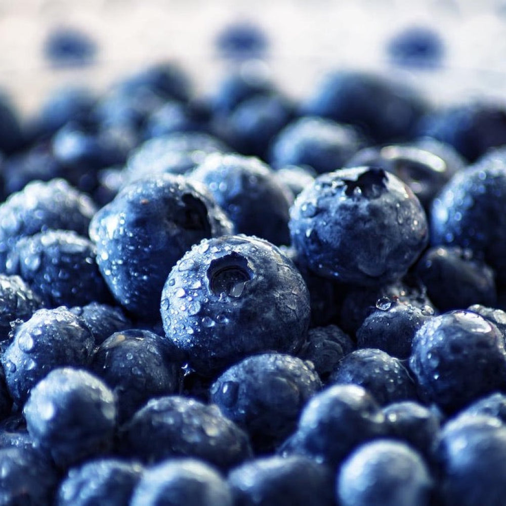 Blueberries Punnet - Glavocich Produce