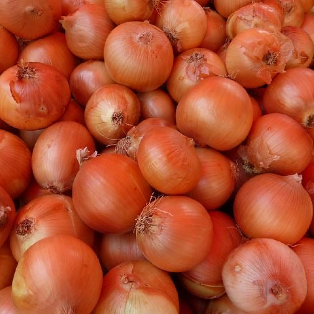 Brown Onions 1 kg - Glavocich Produce