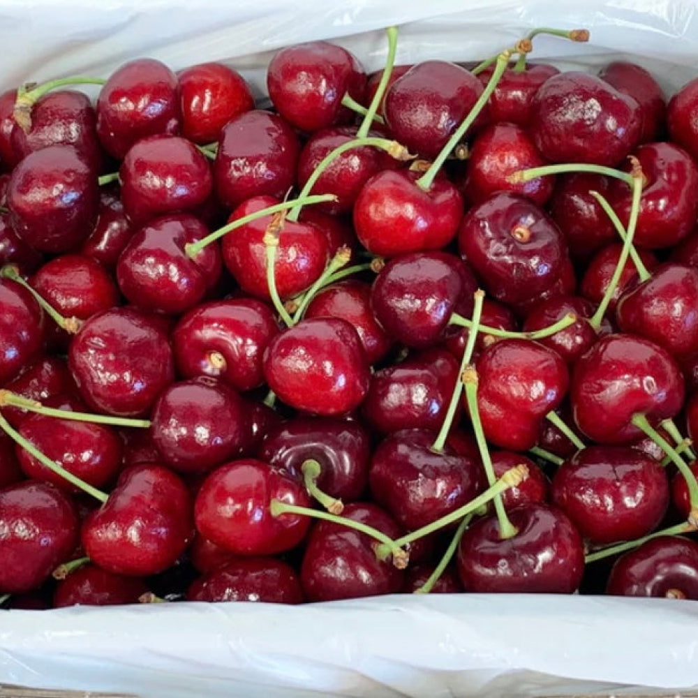 Cherries - Glavocich Produce
