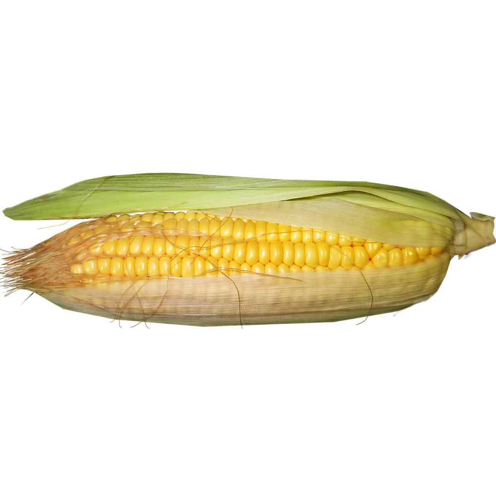 Corn - Glavocich Produce