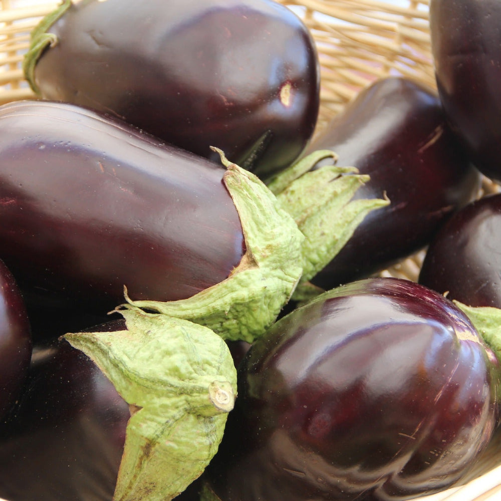 Eggplant - Glavocich Produce
