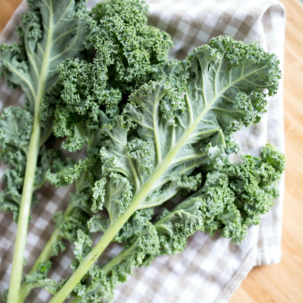 Kale - Glavocich Produce