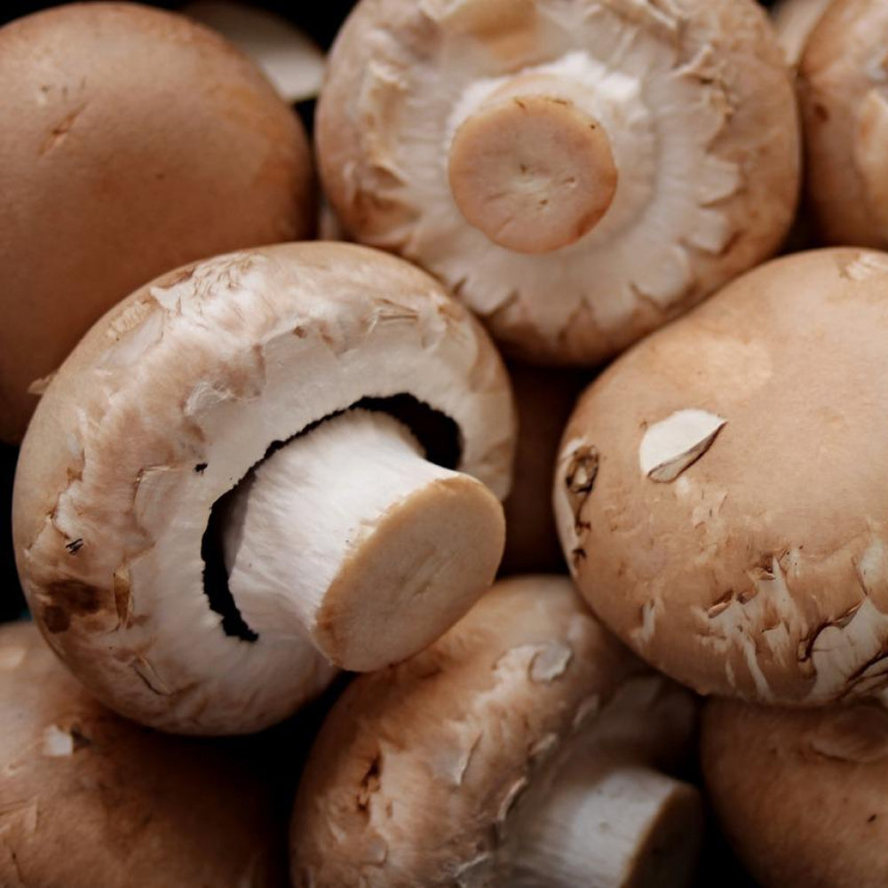 Mushrooms 500g - Glavocich Produce