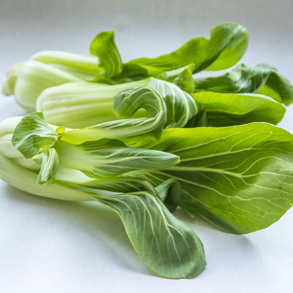 Pak Choy - Glavocich Produce