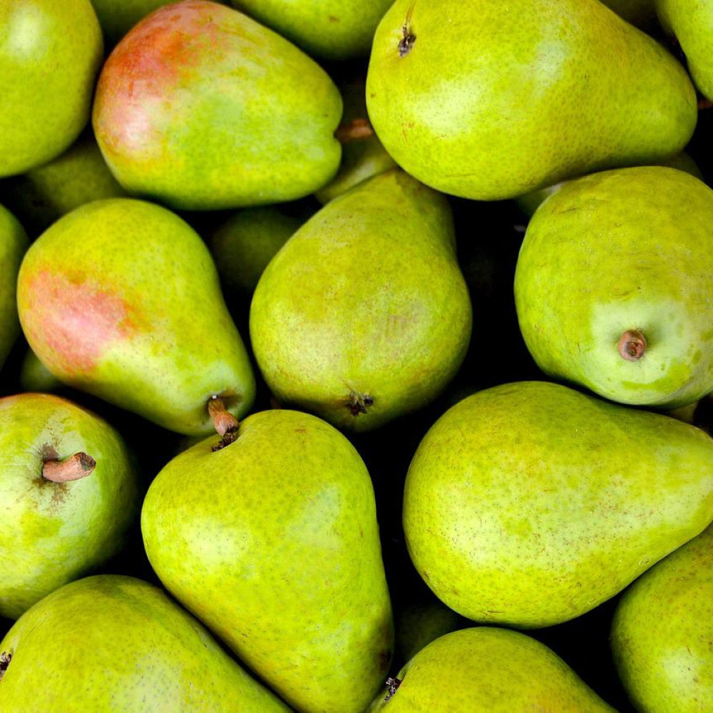 Pears By the Kg - Glavocich Produce