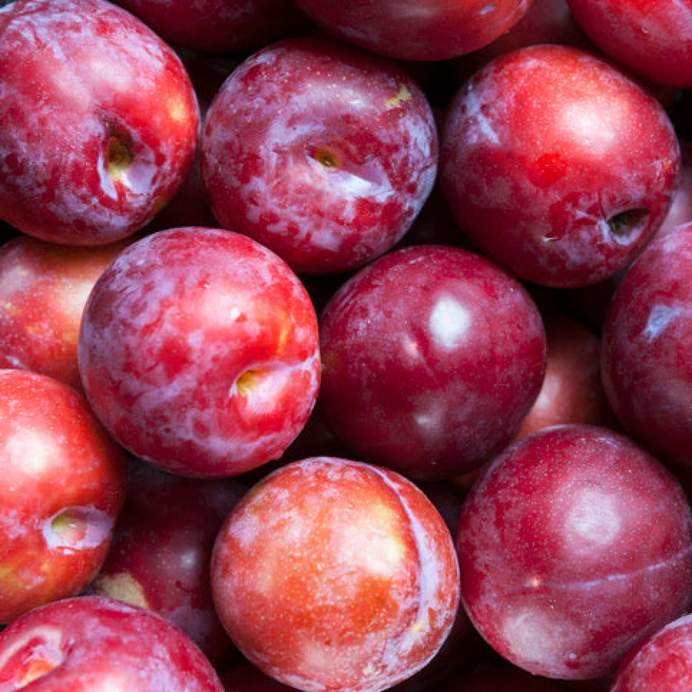 Plums by the kg - Glavocich Produce