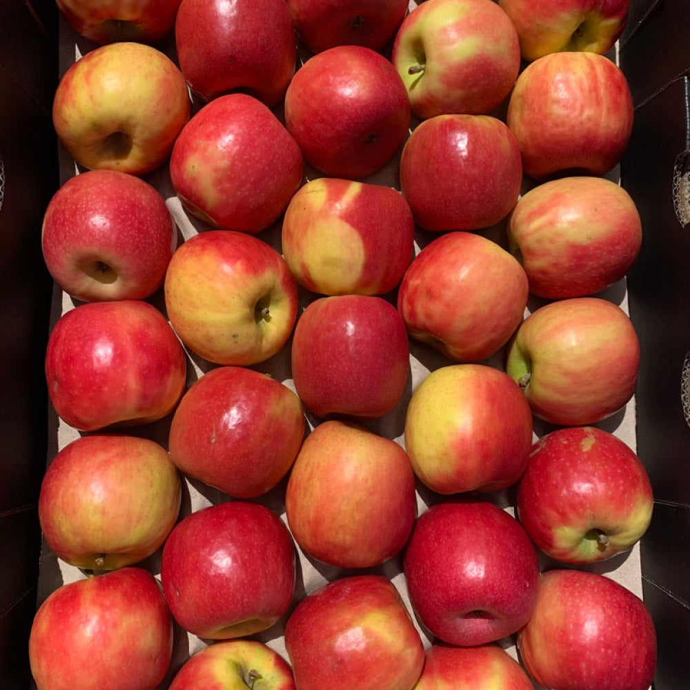 Red Apples By the kg - Glavocich Produce