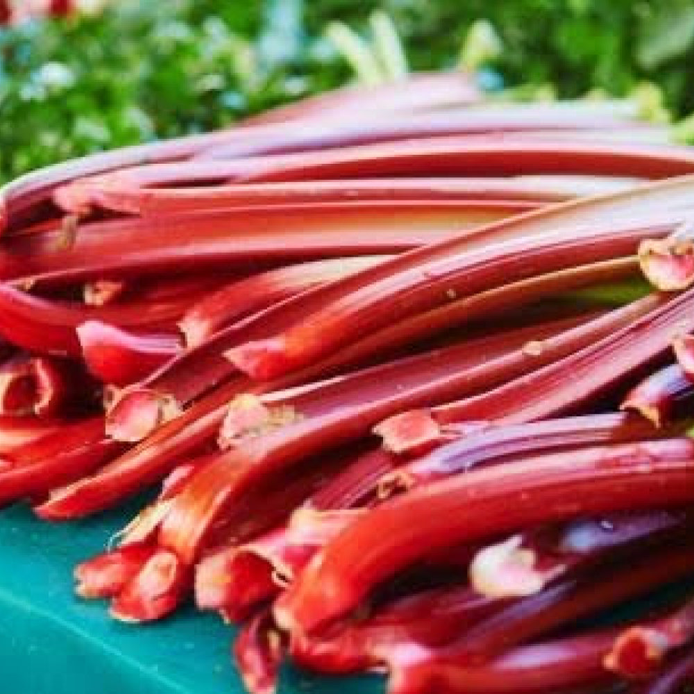 Rhubarb 500g - Glavocich Produce