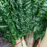 Silverbeet- Bunch - Glavocich Produce