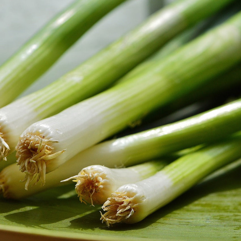 Spring Onions- Bunch - Glavocich Produce