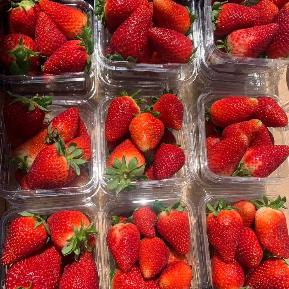 Strawberries- Punnet - Glavocich Produce