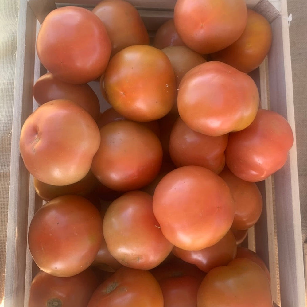 Tomatoes 1/2 kg - Glavocich Produce